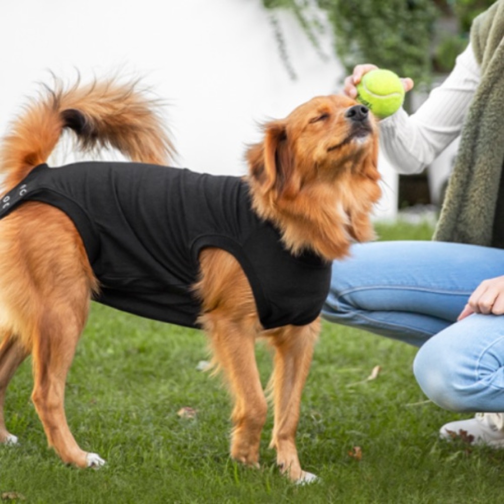 Suitical for Dog Recovery FromSurgery Nursing Mom Dogs Incontinent Dogs Small